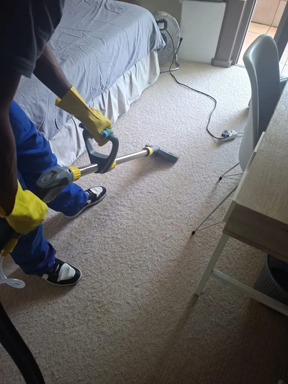 Carpet cleaning result Zwaanswyk