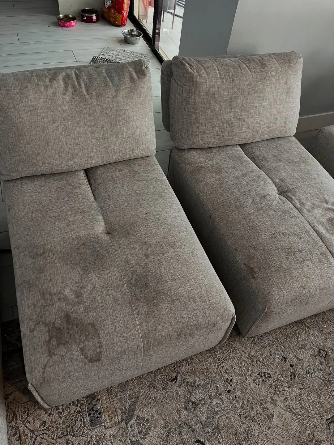 Couch stain removal Goodwood