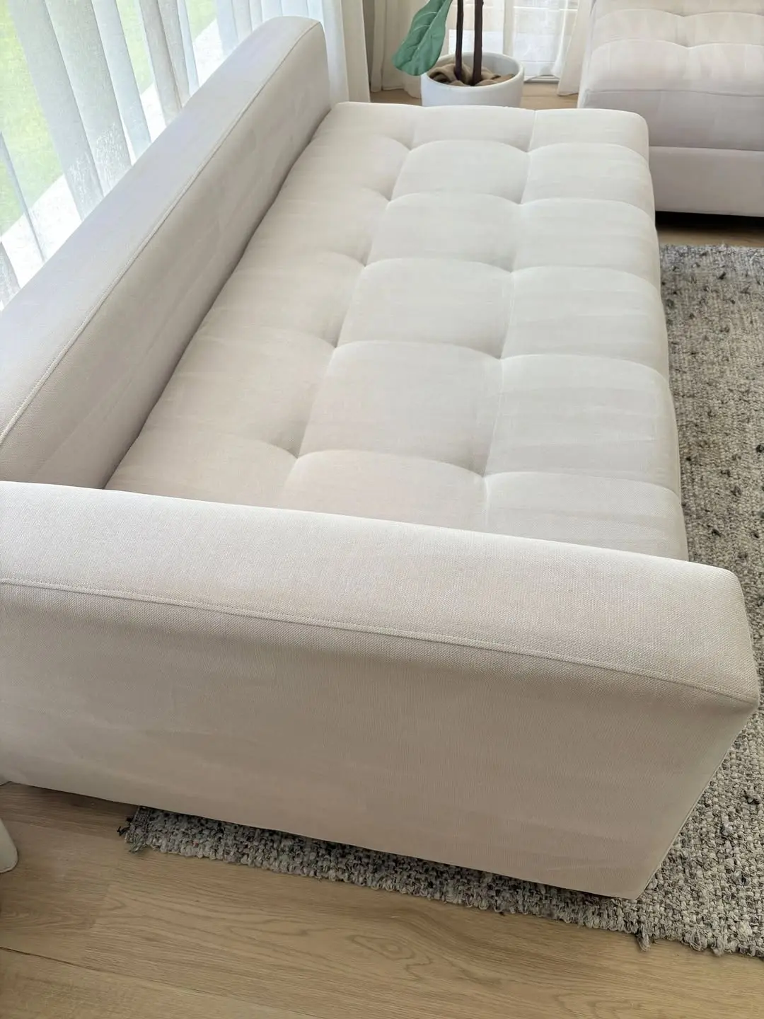 Couch cleaning after