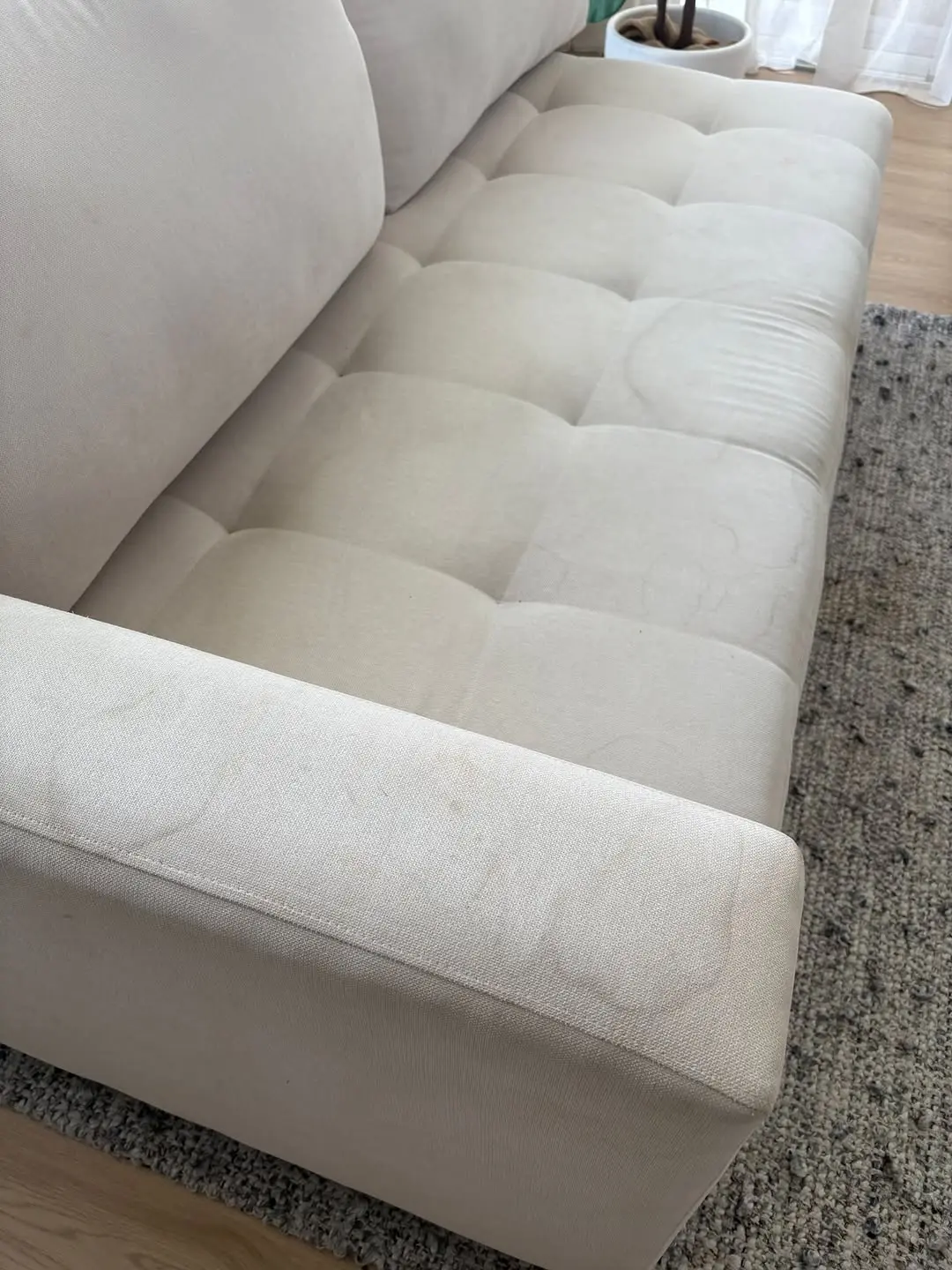 Couch cleaning before
